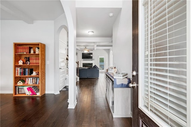 entrance foyer featuring ceiling fan, dark hardwood / wood-style floors, and beam ceiling