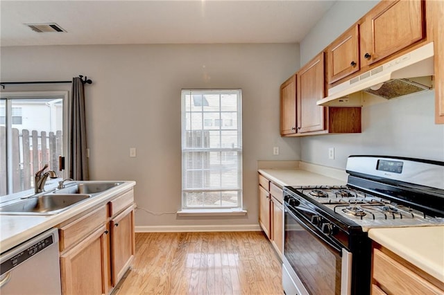 kitchen featuring stainless steel appliances, light wood-type flooring, and sink