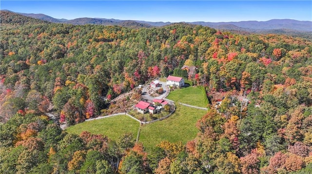 bird's eye view featuring a mountain view