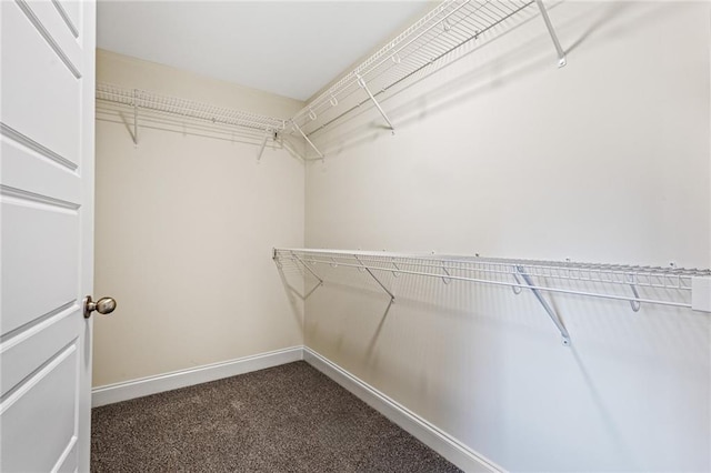 spacious closet with dark carpet