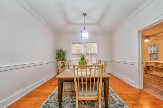 dining area with light hardwood / wood-style floors and crown molding