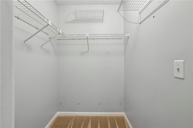 511 Barrington Hills Dr, Atlanta, GA 30350 - spacious closet featuring carpet