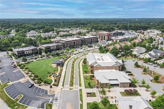 1210 Mayfield Rd, Milton, GA 30009 - bird's eye view