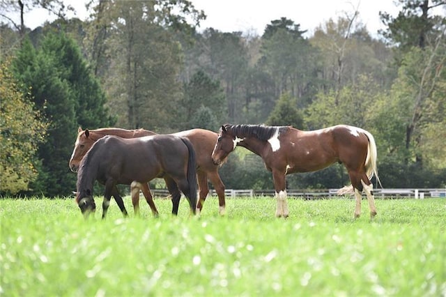 1210 Mayfield Rd, Milton, GA 30009 - horse barn with a wooded view
