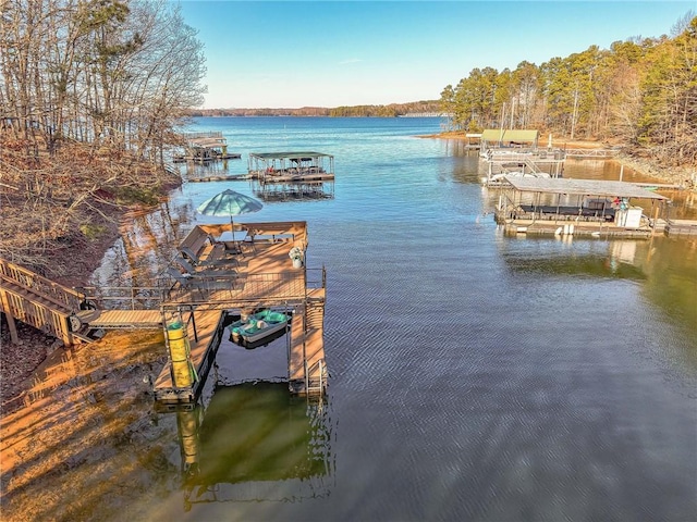 dock area with a water view