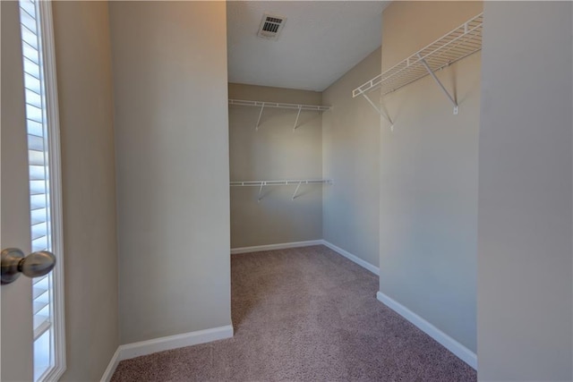 922 Gardenia Curv, Canton, GA 30114 - spacious closet with visible vents and carpet floors