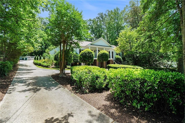 5545 Cross Gate Ct, Atlanta, GA 30327 - view of home's community featuring driveway