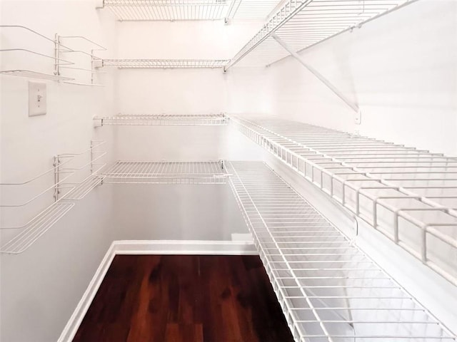 walk in closet with wood-type flooring