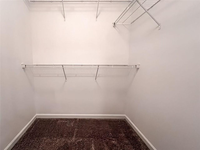 spacious closet featuring carpet floors