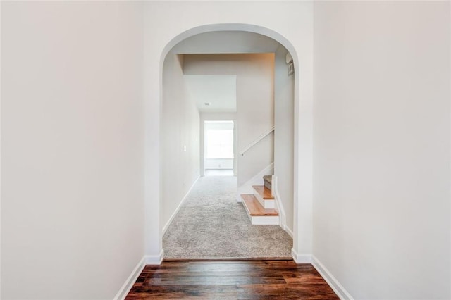 hallway featuring dark hardwood / wood-style floors