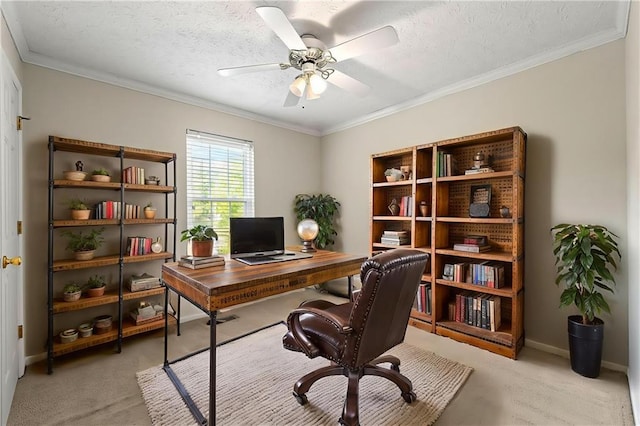 89 Cottonwood Loop, Dallas, GA 30132 - office space with light carpet, ceiling fan, crown molding, and a textured ceiling