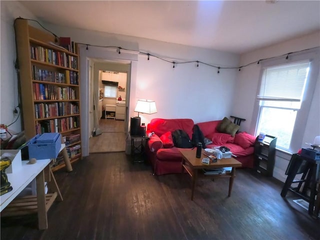 living room featuring dark hardwood / wood-style flooring