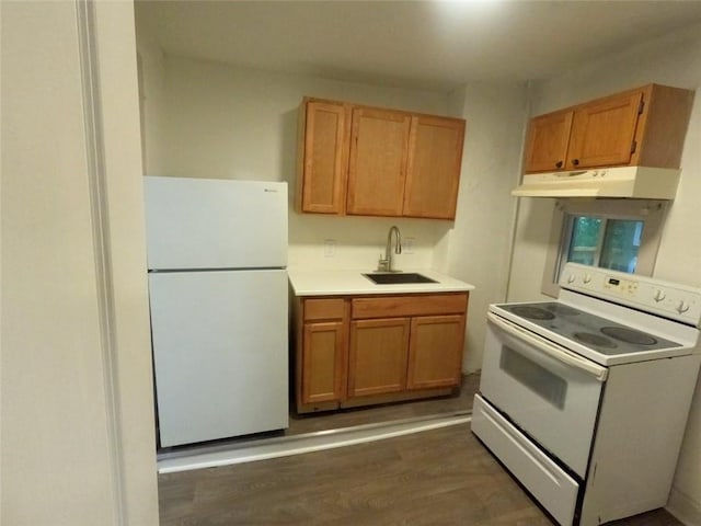 kitchen with sink, dark hardwood / wood-style floors, and white appliances