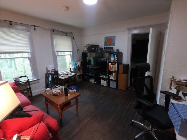 living room with dark hardwood / wood-style floors