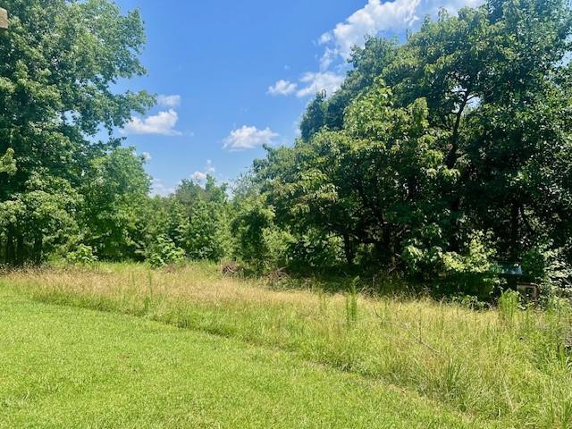9262 Morrison Rd, Lula, GA 30554 - view of nature