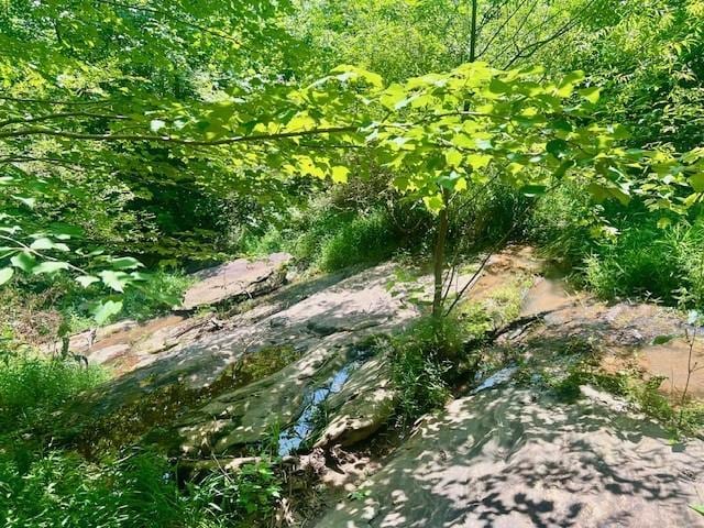 9262 Morrison Rd, Lula, GA 30554 - view of nature