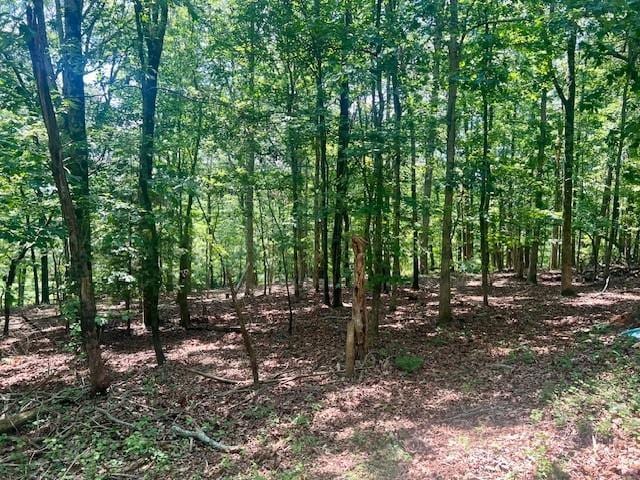 9262 Morrison Rd, Lula, GA 30554 - view of nature