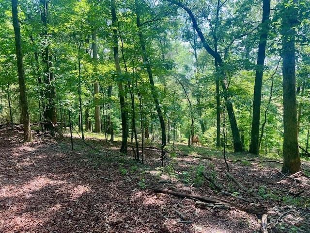 9262 Morrison Rd, Lula, GA 30554 - view of wooded area