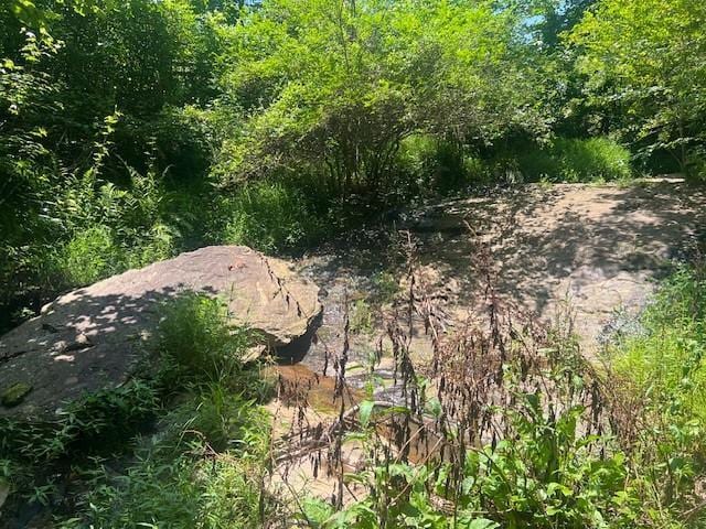 9262 Morrison Rd, Lula, GA 30554 - view of tree filled area