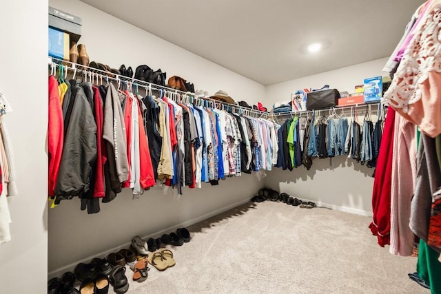 spacious closet featuring carpet flooring