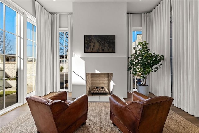 living room featuring hardwood / wood-style floors