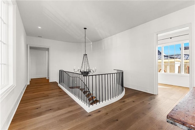 hallway featuring hardwood / wood-style floors and a chandelier