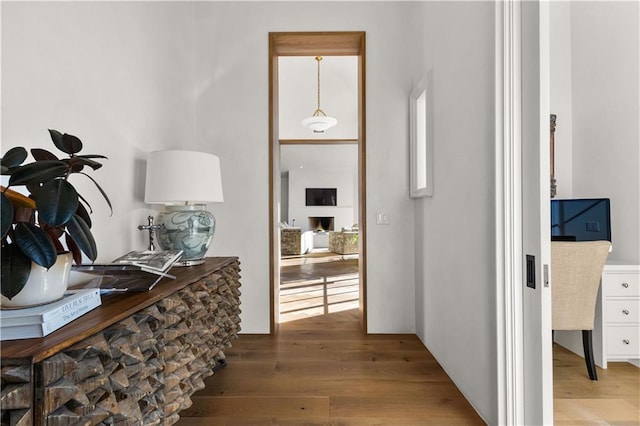 foyer entrance with wood-type flooring