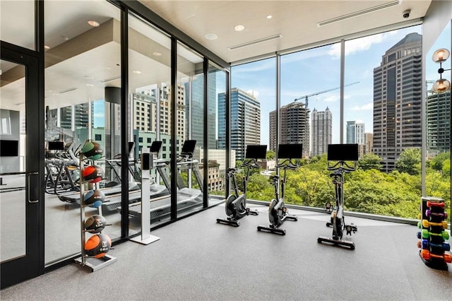 workout area featuring a wall of windows