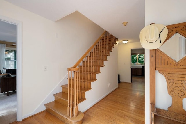 stairway featuring wood-type flooring and a healthy amount of sunlight