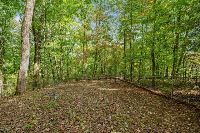 view of local wilderness