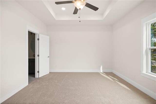 empty room featuring carpet floors, a tray ceiling, and plenty of natural light