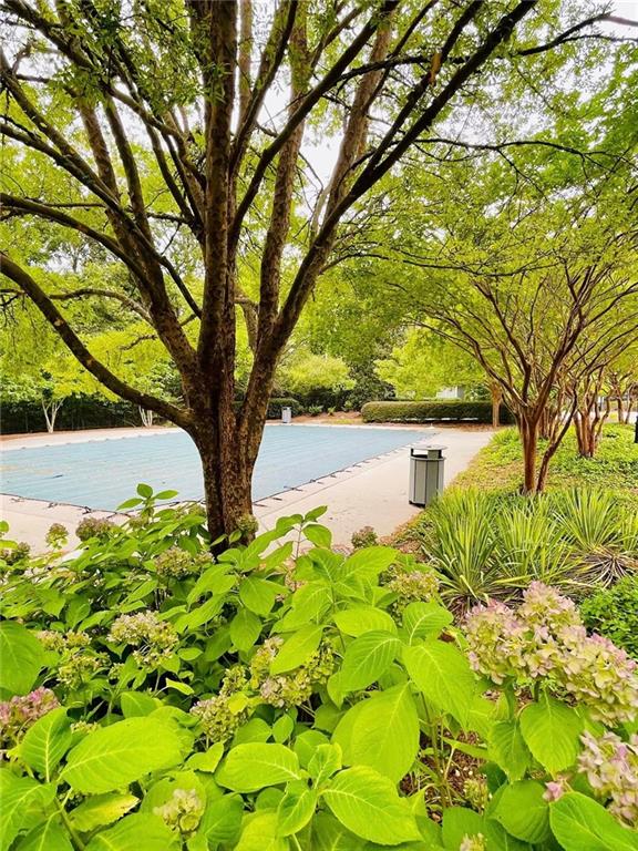 306 Mountain Laurel Walk, Canton, GA 30114 - view of property's community