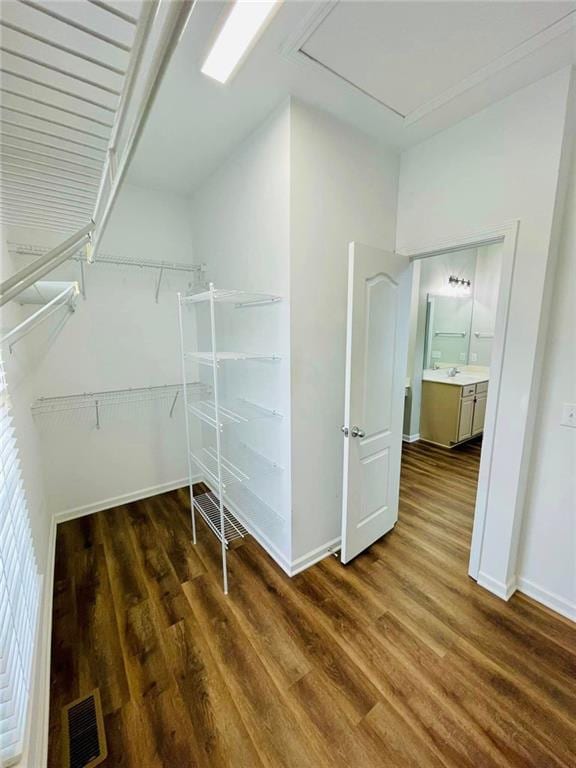 spacious closet featuring visible vents, dark wood finished floors, and a sink