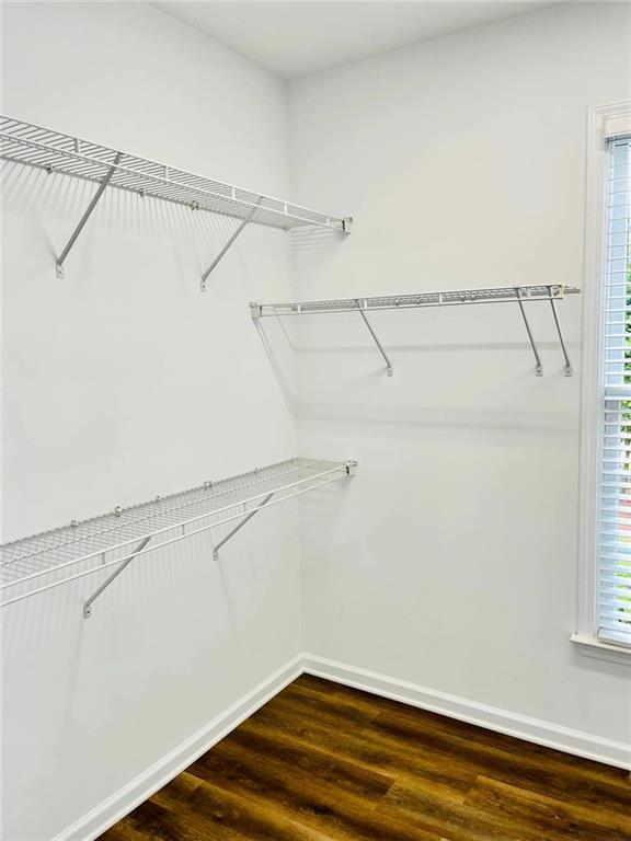 walk in closet featuring dark wood-type flooring