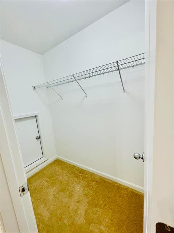 walk in closet featuring carpet floors