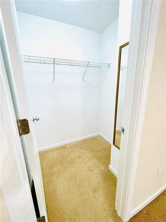 spacious closet featuring light colored carpet