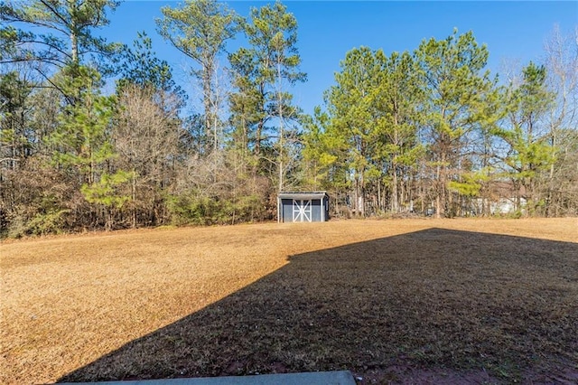 view of yard with a shed