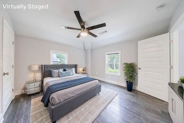 bedroom featuring multiple windows, dark hardwood / wood-style floors, and ceiling fan