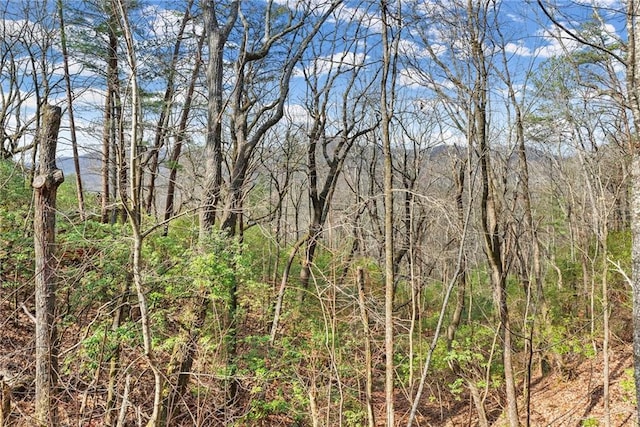 0 Snowdrift Pl, Cleveland GA, 30528 land for sale