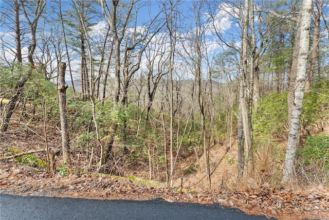 Listing photo 3 for 0 Snowdrift Pl, Cleveland GA 30528