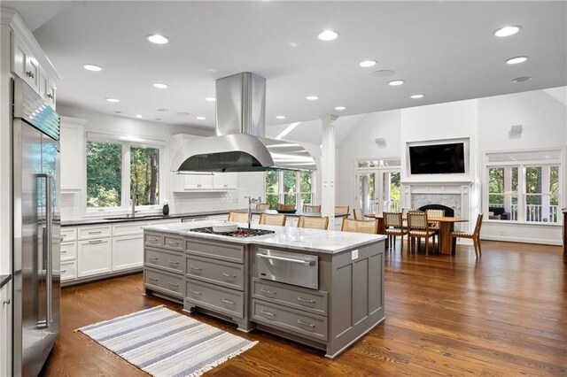 kitchen featuring stainless steel appliances, island exhaust hood, plenty of natural light, and dark hardwood / wood-style flooring