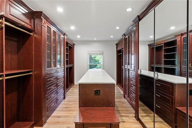 spacious closet featuring light hardwood / wood-style flooring