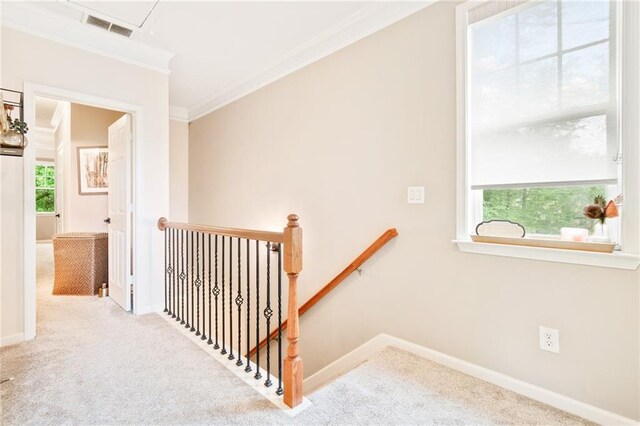 stairs with ornamental molding, carpet, and baseboards