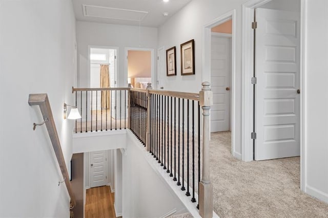stairs featuring baseboards, attic access, and carpet