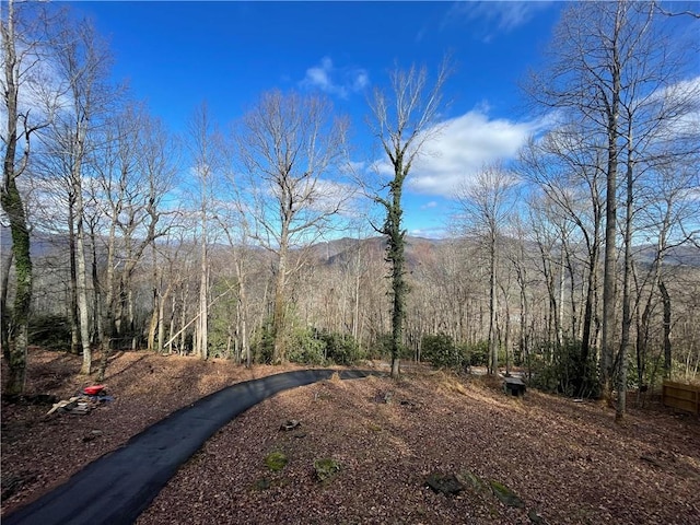 view of yard featuring a mountain view