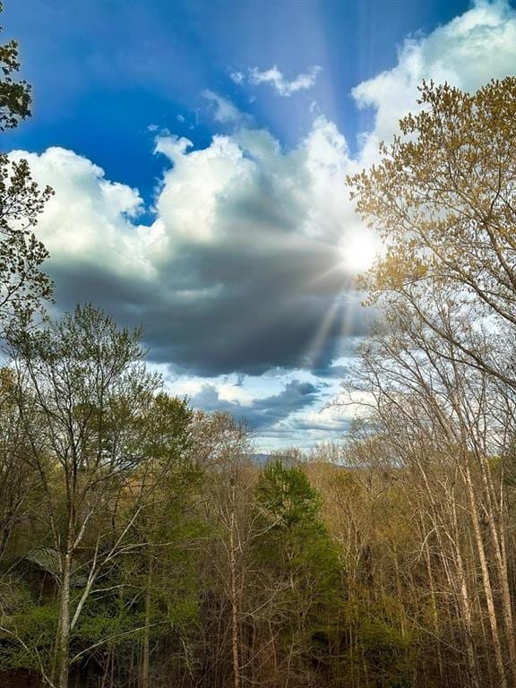 43 Morley Dr, Ellijay, GA 30540 - view of local wilderness