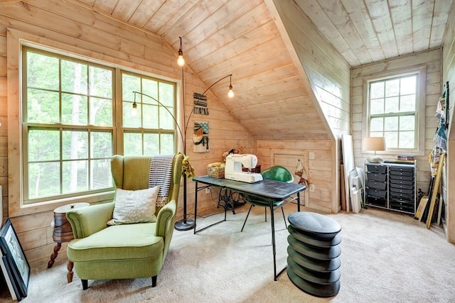 43 Morley Dr, Ellijay, GA 30540 - office space with vaulted ceiling, plenty of natural light, wooden walls, wood ceiling, and carpet floors