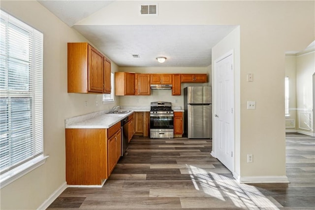 kitchen with dark wood-type flooring, appliances with stainless steel finishes, and sink