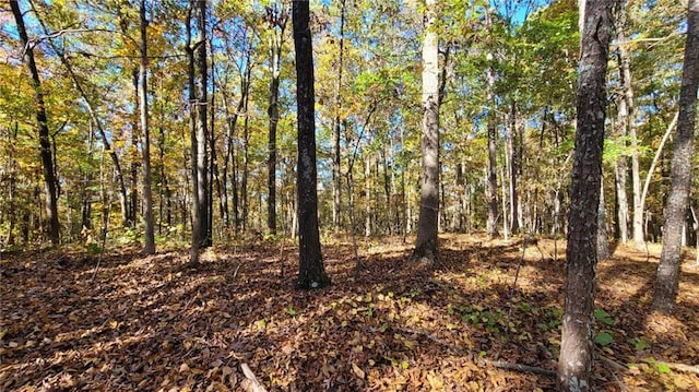 0 Mac Johnson Rd NW, Cartersville, GA 30121