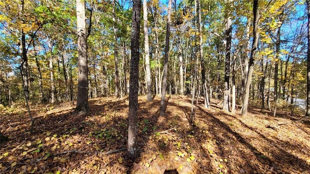 0 Mac Johnson Rd NW, Cartersville, GA 30121